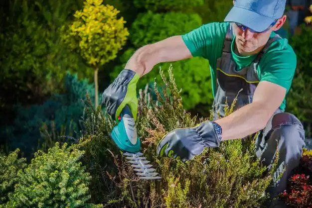 landscaping services Timberlane